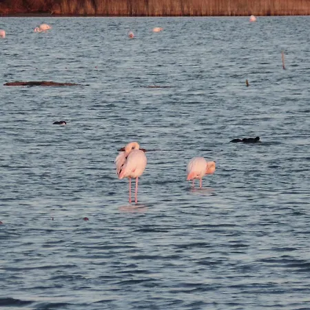 Spacieux Front De Daire *