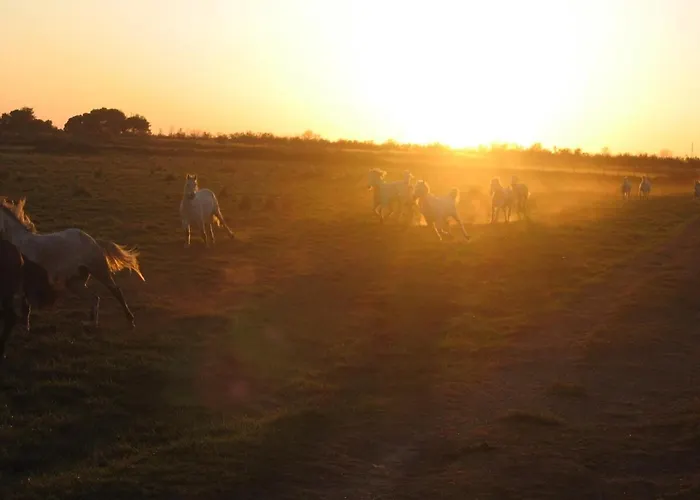 Apartmán Spacieux Front De *